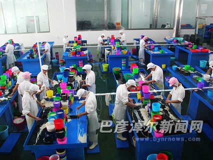 泰亨肠衣实现产值6500余万（图）